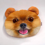 Pom Puppy