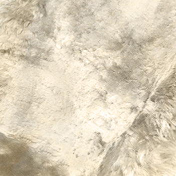 Sheepskin Seat Topper Beige swatch
