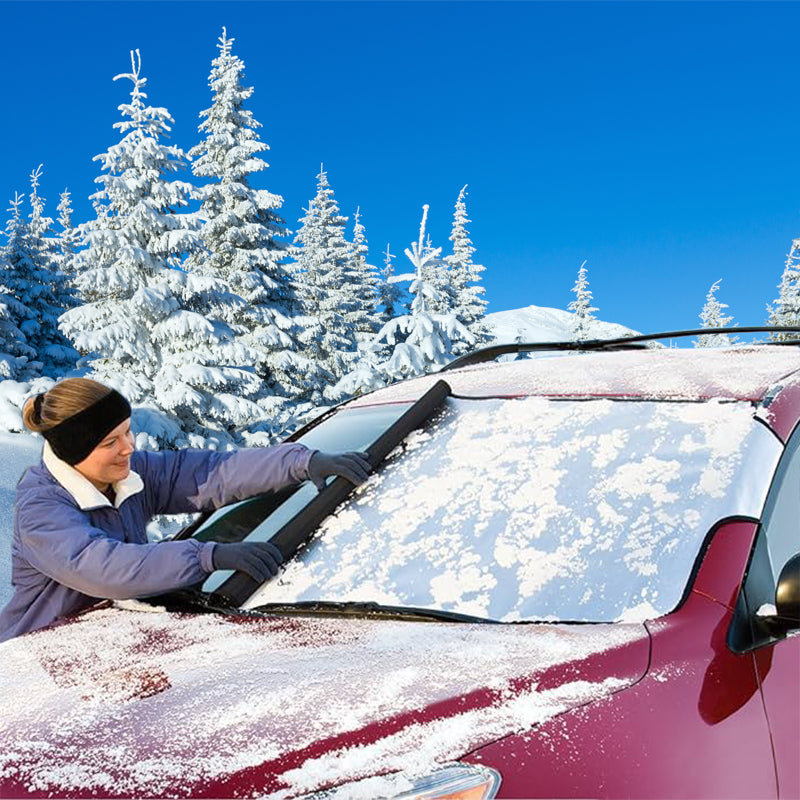 SnowShade with snowy trees in background
